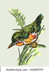 vector drawing of the bird