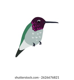 pássaro desenho vetorial, beija-flor de Anna , calypte anna desenhado à mão , elemento de design de natureza isolada