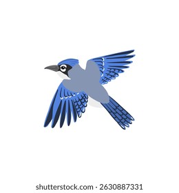vector drawing bird, blue jay , hand drawn Cyanocitta cristata, isolated nature design element