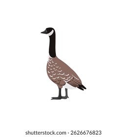 vector drawing bird, Canada goose, hand drawn Platalea ajaja, isolated nature design element