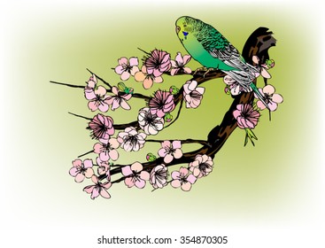 Vector drawing bird and cherry blossoms. Drawing by hand for background and text.