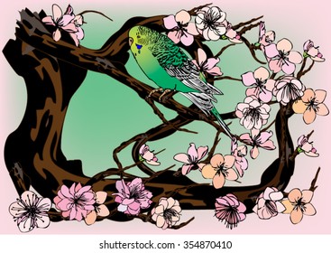 Vector drawing bird and cherry blossoms. Drawing by hand for background and text.