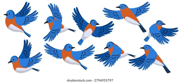 vector drawing bird, eastern bluebird , hand drawn Sialia sialis, isolated nature design element