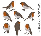 vector drawing bird, european robin, hand drawn Erithacus rubecula, isolated nature design element