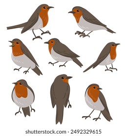 vector drawing bird, european robin, hand drawn Erithacus rubecula, isolated nature design element