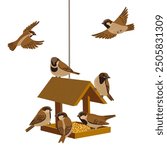 vector drawing bird feeder and sparrow birds, wooden bird house isolated at white background, hand drawn vector illustration