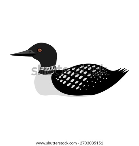 vector drawing bird, great northern diver, common loon, , hand drawn Gavia immer , isolated nature design elements