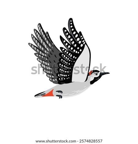 vector drawing bird, great spotted woodpecker, hand drawn Dendrocopos major, isolated nature design element