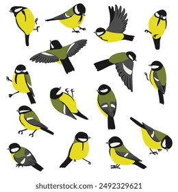 Pájaro de dibujo de Vector, gran teta, dibujado a mano Parus major , elemento de diseño de naturaleza aislada