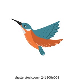 Pájaro de dibujo de Vector, martín pescador dibujado a mano, Alcedo atthis, elemento de diseño de naturaleza aislada