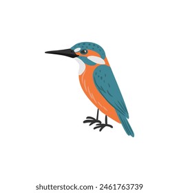 vector drawing bird, hand drawn kingfisher, Alcedo atthis, isolated nature design element