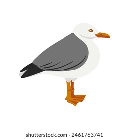 vector drawing bird, hand drawn herring gull , isolated nature design element