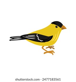 Pájaro de dibujo de Vector, jilguero americano dibujado a mano, Spinus tristis, elemento de diseño de naturaleza aislada