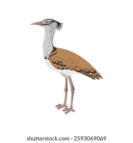 vector drawing bird, kori bustard , hand drawn Ardeotis kori, isolated nature design element