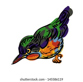 vector drawing of the bird nuthatch