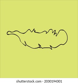 vector drawing of a bird with outline style only
