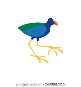 Vector que dibuja el pájaro, gallinule púrpura, gallinule amarillo-legged, dibujado a mano Porphyrio martinica, elemento aislado del diseño de la naturaleza