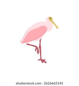 vector drawing bird, roseate spoonbill, hand drawn Platalea ajaja, isolated nature design element