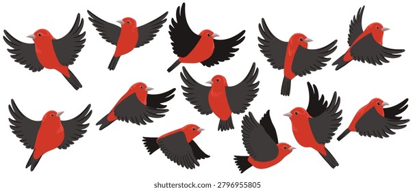vector drawing bird, scarlet tanager , hand drawn Piranga olivacea, isolated nature design elements