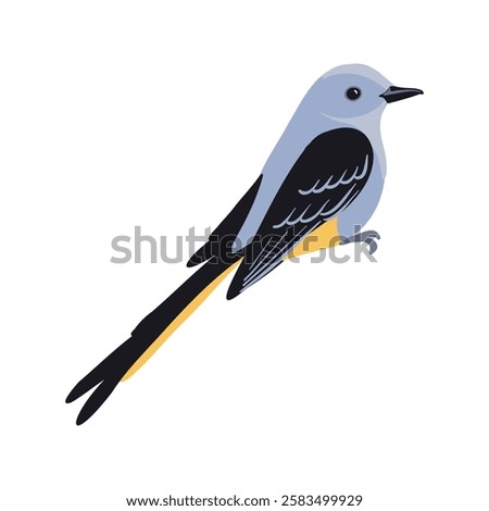 vector drawing bird, scissor-tailed flycatcher , hand drawn Tyrannus forficatus, isolated nature design element