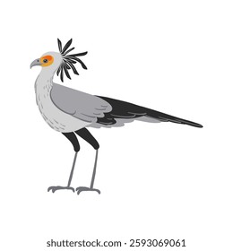 vector drawing bird, secretary bird , hand drawn Sagittarius serpentarius, isolated nature design element