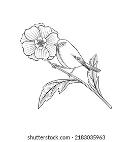 vector drawing bird at tree branch with flower, hand drawn illustration for cover design or print