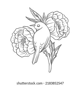 vector drawing bird at tree branch with flowers, hand drawn illustration for cover design or print