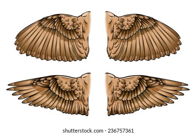 Vector Drawing Of / Bird Wings / Open And Closed Bird Wings, Easy To Edit Layers And Groups, EPS 10 Black And White Outline File Looks Great Too. 