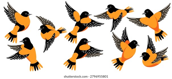 vector drawing bird,Baltimore oriole, hand drawn Icterus galbula, isolated nature design element