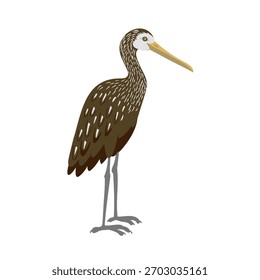 vector drawing bird,limpkin , hand drawn Aramus guarauna, isolated nature design elements