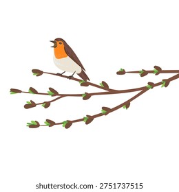 vector drawing bird,robin at spring green branch with bud with green leaves , hand drawn wildlife illustration