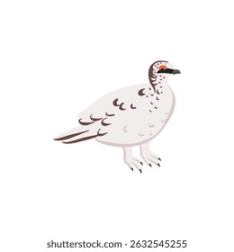 vector drawing bird,rock ptarmigan, hand drawn Lagopus muta, isolated nature design element