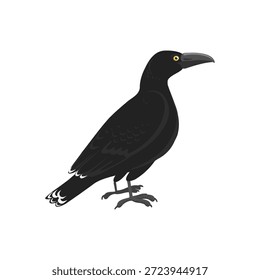 vector drawing birds, black currawong, hand drawn , isolated nature design elements