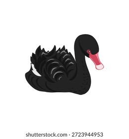desenho vetorial de aves, cisne negro, estirado à mão , elementos de design de natureza isolados