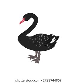desenho vetorial de aves, cisne negro, estirado à mão , elementos de design de natureza isolados