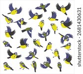 vector drawing birds, Eurasian blue tits, hand drawn Cyanistes caeruleus , isolated nature design elements