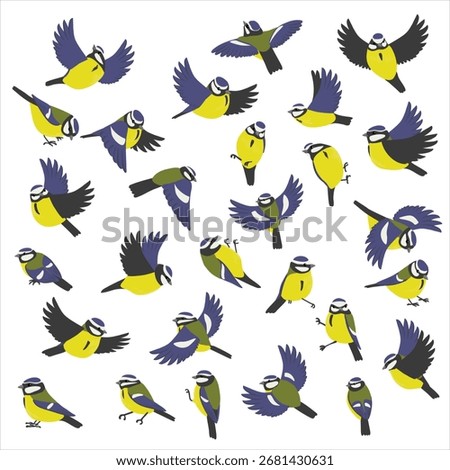 vector drawing birds, Eurasian blue tits, hand drawn Cyanistes caeruleus , isolated nature design elements