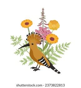 vector drawing birds of eurasian hoopoe and flowers, hand drawn illustration