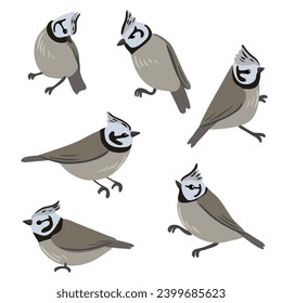 aves de dibujo vectorial, tetas dibujadas a mano, elemento de diseño natural aislado