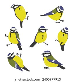 aves de dibujo vectorial, tetas azules dibujadas a mano, elemento de diseño natural aislado