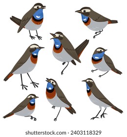 vector drawing birds, hand drawn bluethroats, isolated nature design element