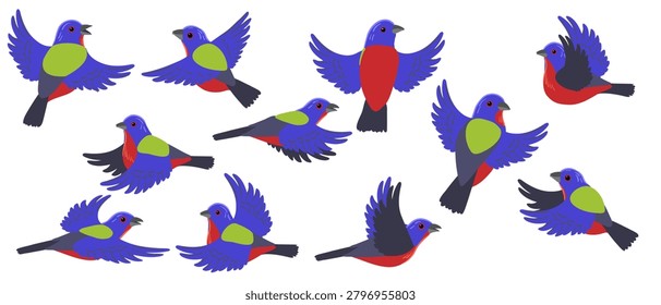 vector drawing birds, painted bunting , hand drawn Passerina ciris, isolated nature design element