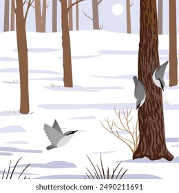 vector drawing birds at pine trunk, wood nuthatch in winter forest, hand drawn Sitta europaea , natural cartoon illustration