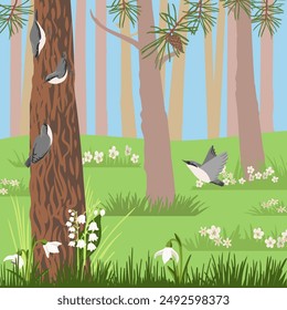 vector drawing birds at pine trunk, wood nuthatch and flowers in spring forest, hand drawn landscape , natural cartoon illustration