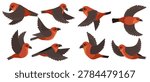 vector drawing birds, red crossbill , hand drawn Loxia curvirostra , isolated nature design elements