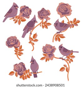 vector drawing birds and rose branches with flowers leaves, hand drawn nothern cardinals, set of isolated nature design elements
