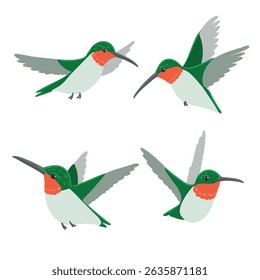 vector drawing birds, ruby-throated hummingbirds , hand drawn Archilochus colubris, isolated nature design elements
