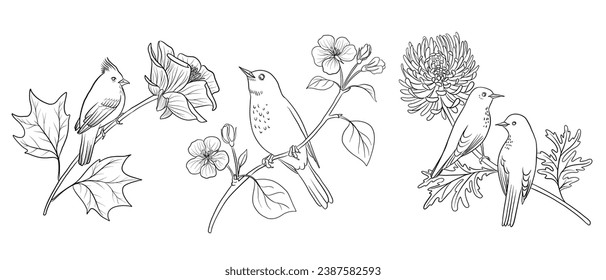 vector drawing birds at tree branch with flowers and leaves, hand drawn illustration for cover design or print