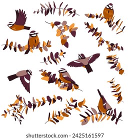 vector drawing birds and tree branches with leaves, hand drawn blue tits, set of isolated nature design elements