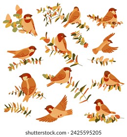 vector drawing birds and tree branches with leaves, hand drawn sparrows, set of isolated nature design elements